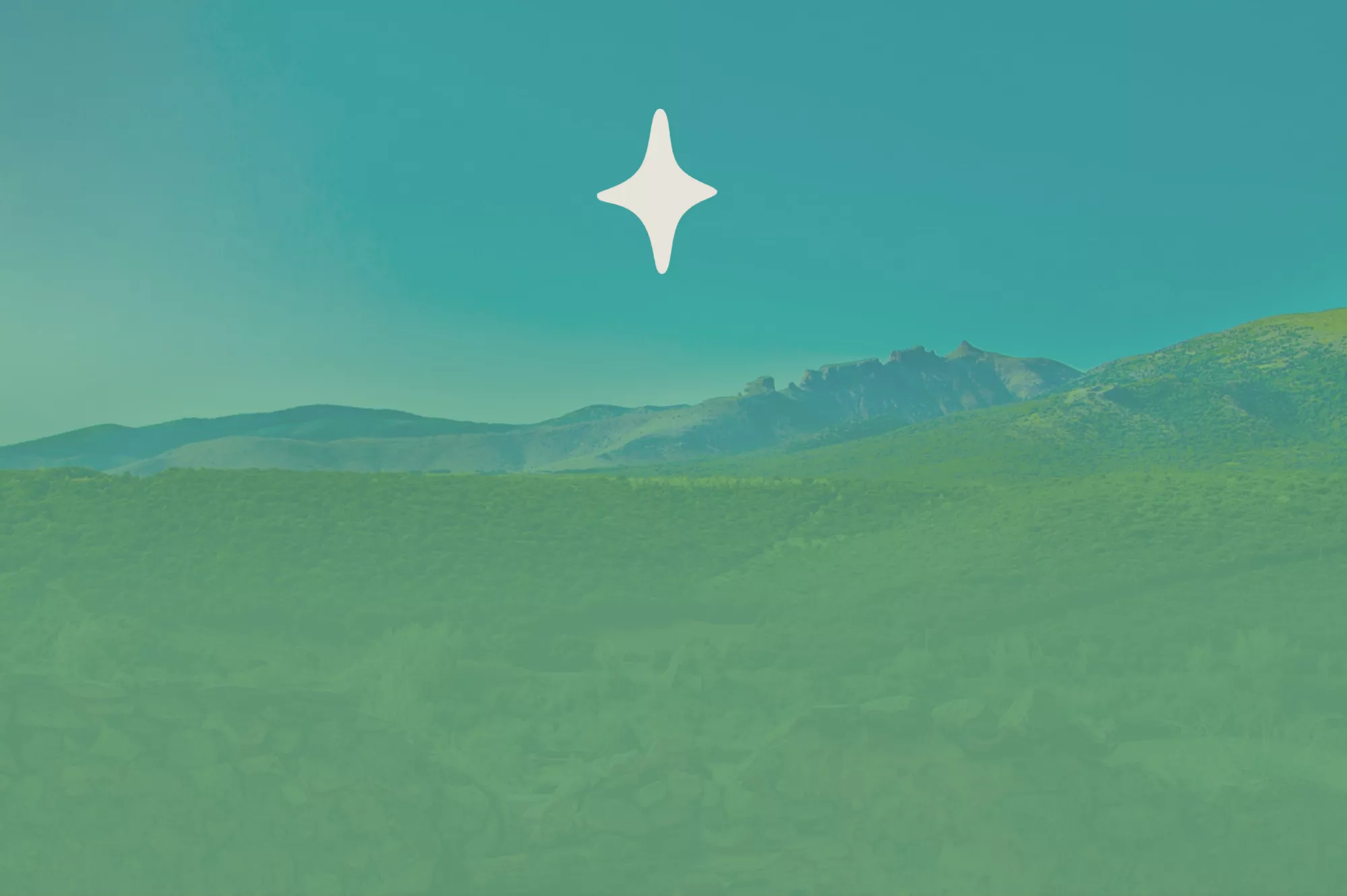 Encuentro de Buscadores / Moncayo, Agosto 2025